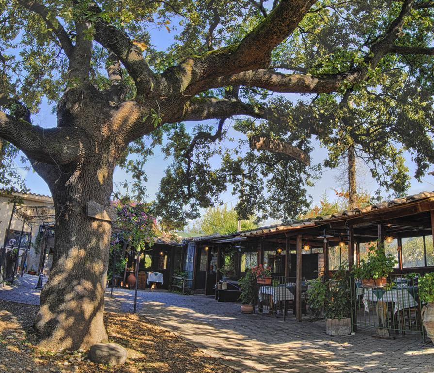 Bed and Breakfast La Vecchia Quercia Selci  Экстерьер фото